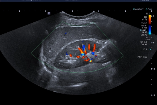 La question de l'étudiant. Février 2026